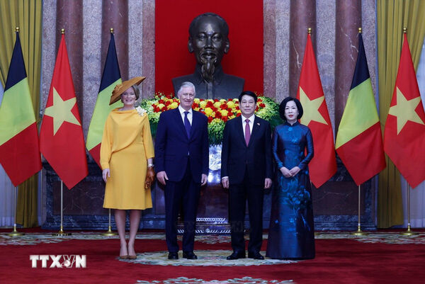 Vietnam wishes to strengthen multi-faceted cooperation with Belgium: President