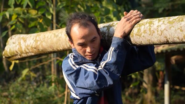 Rising from the ruins: Resilience of Lang Nu