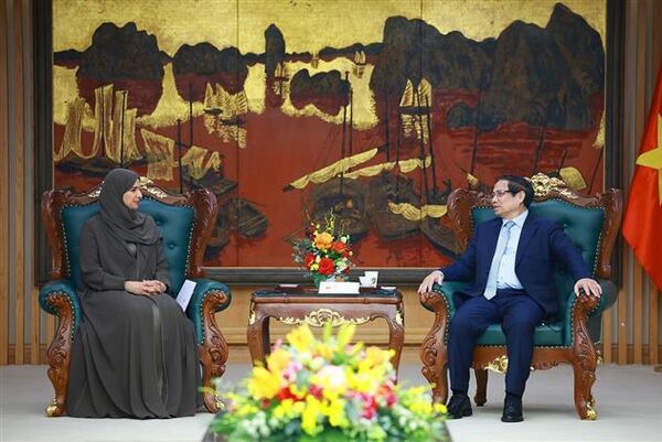 Vietnam wants to learn UAE's experience in economic transformation: PM