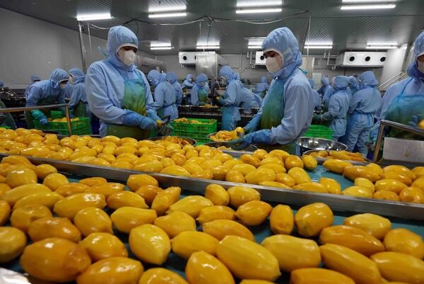 <b>Agro-forestry-aquatic product exports increase over 13% in Q1</b>