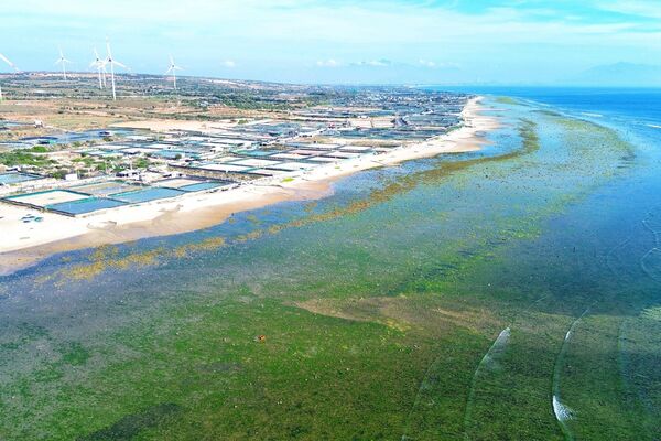 Ninh Thuan – A top getaway for summer 2025