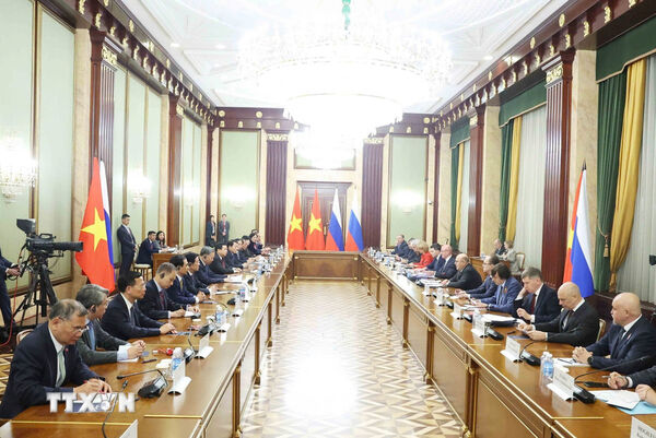 Vietnam ready to work with Russia to elevate relations: Party leader