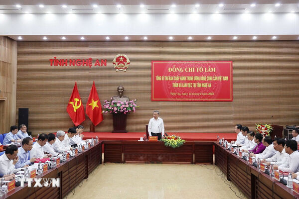 Party chief urges Nghe An’s emergence as modern local development model in new era