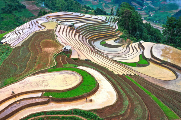 <b><b>Cao Pha's terraced fields shimmer in watering season</b></b>