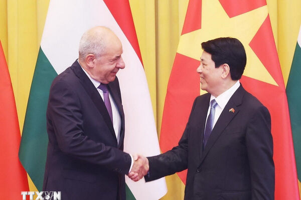 Vietnam treasures ties with Hungary: State President