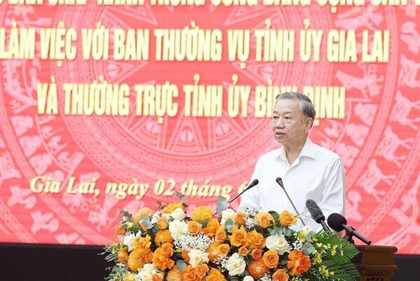 Merger to turn Gia Lai into a growth pole of Central-Central Highlands region: Party chief