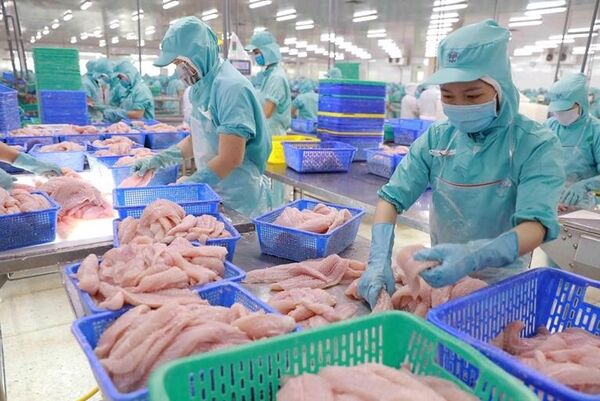 Vietnam’s fishery sector diversifies export markets, products
