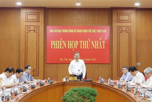 Legal, institutional improvement must facilitate development: Party chief