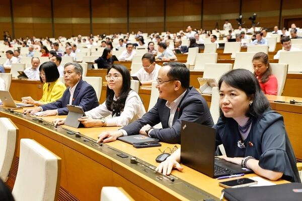 NA passes amended laws on corporate income tax, excise tax