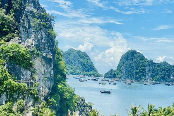 Holiday makers seek for green, cultural tours in this summer