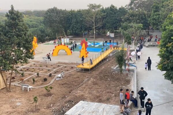 Khi cộng đồng cùng chung tay tạo nên “rừng trong phố”