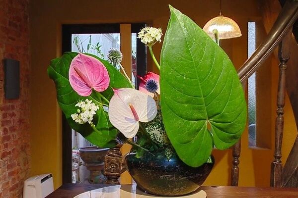 Ikebana haven in the heart of Hanoi