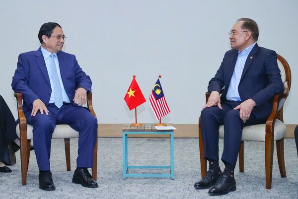 Vietnamese, Malaysian PMs meet on BRICS summit sidelines