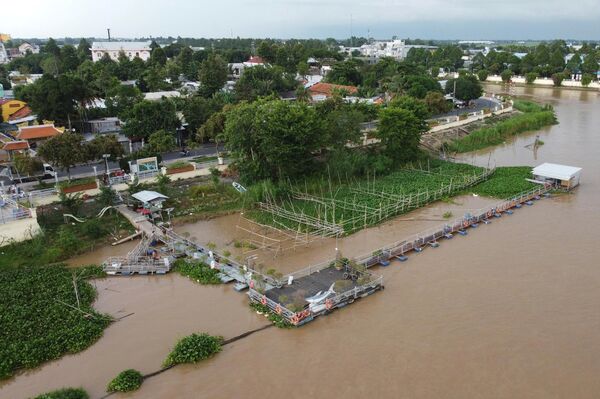 Dong Thap protecting wild fish in Tien river