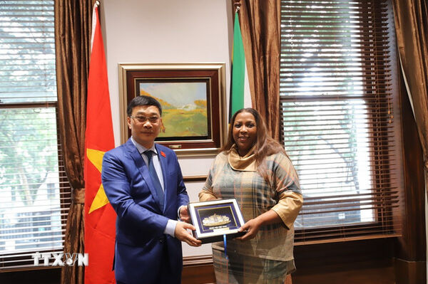 Vietnam, South Africa eye on stronger parliamentary cooperation