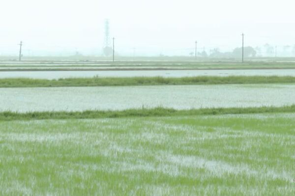 Heavy rains and dyke erosion reported after typhoon Wipha