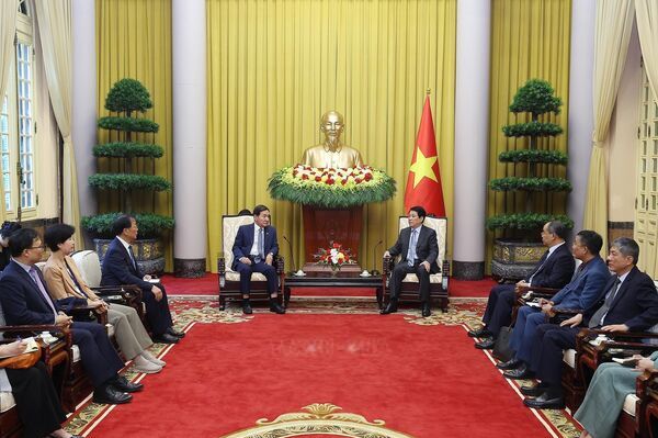 Vietnam always values ties with RoK: State President