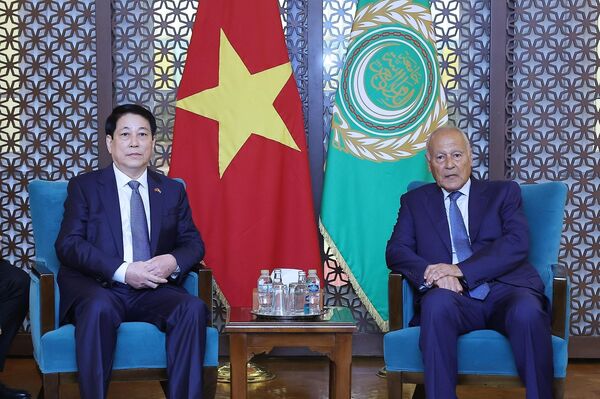 Vietnam expects more substantive, effective ties with Arab League: President