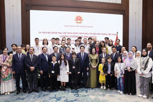 State President meets with Vietnamese community in Egypt