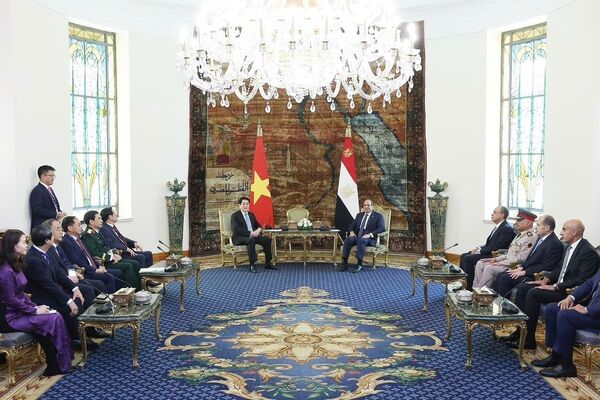 Vietnamese, Egyptian Presidents hold talks, agree to lift ties to Comprehensive Partnership