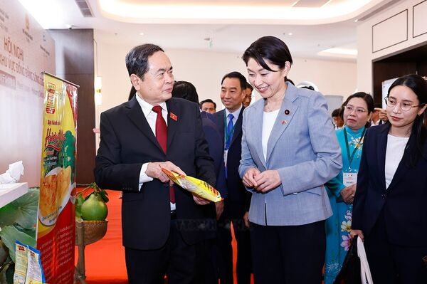Vietnam encourages Japanese firms to invest in key sectors: NA leader