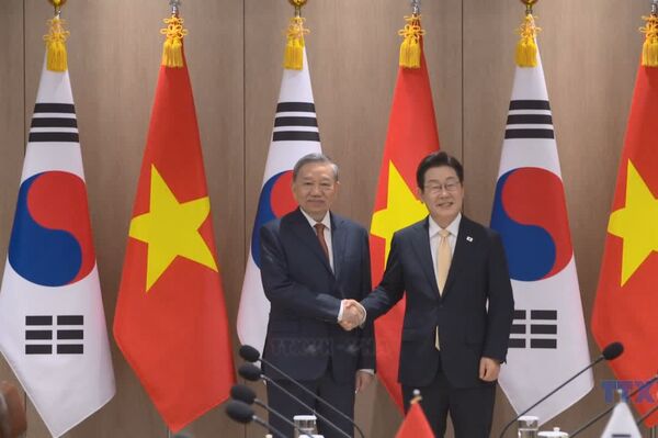 Vietnamese Party leader holds talks with RoK President in Seoul