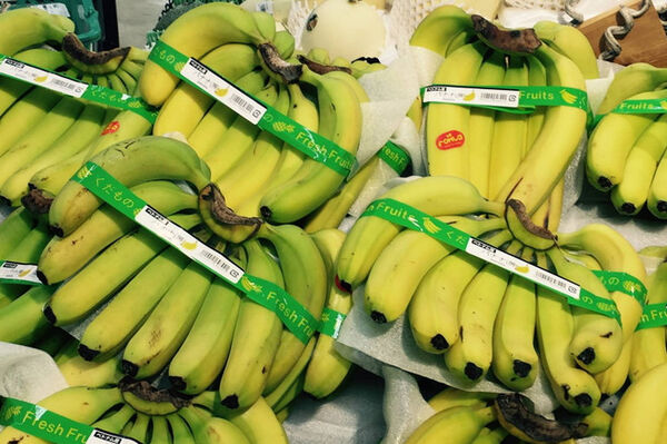 Vietnamese bananas gain foothold in Japan