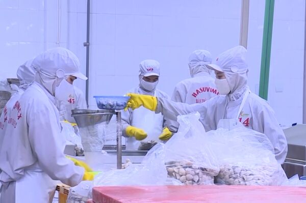 Aquatic output reaches 5.5 million tonnes amid push for sustainability