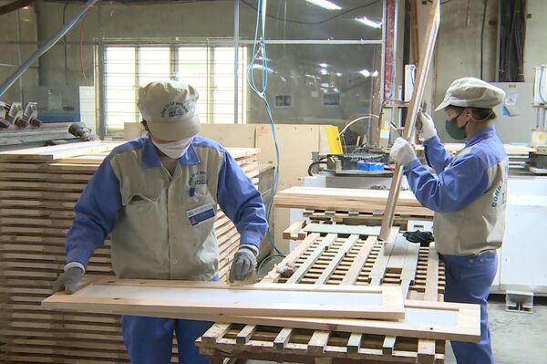 Vietnam’s wood industry braces for trade defense challenges