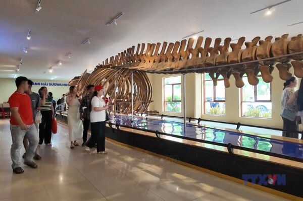 Exploring Nha Trang Museum of Oceanography