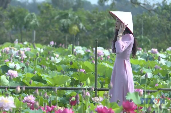 Hung Yen develops agritourism model