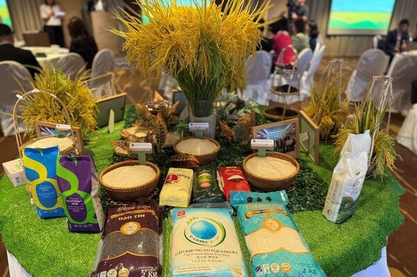 Vietnamese rice promoted in China’s Hong Kong
