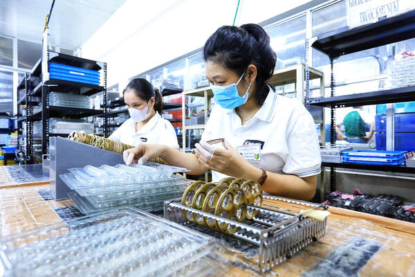 Newly-established, resumed enterprises surge 23% in seven months