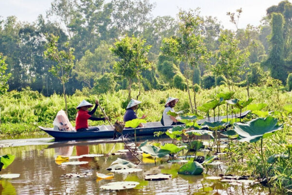 Mekong Delta eyes tourism development following merger of administrative units