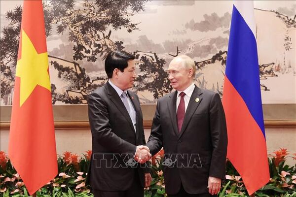 Vietnamese State leader meets Russian President in China