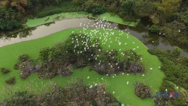 Thung Nham Bird Park – A natural sanctuary within a world heritage site