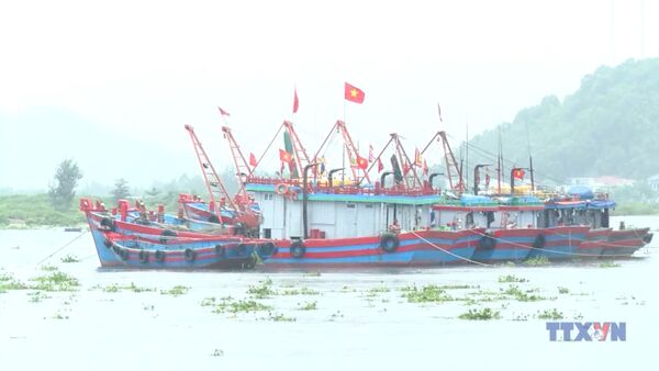 PM orders preparedness as Typhoon Bualoi moving fast towards Vietnam