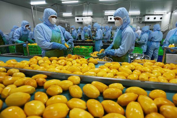 Vietnam’s fruit, vegetable exports estimated at 6.11 billion USD in nine months
