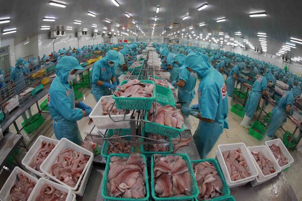 Vietnamese tra fish producers advised to adapt to new version of ASC standards