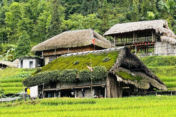 Moss-covered houses at the foot of Tay Con Linh