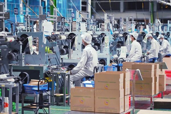 Vietnam's private enterprises in the era of the nation’s rise