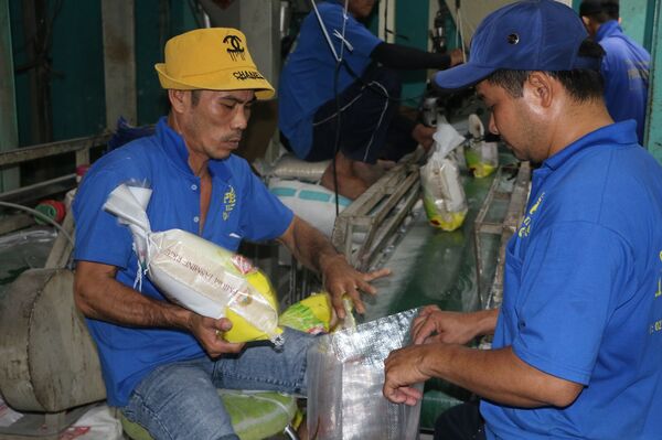 Africa emerges as promising market for Vietnamese rice