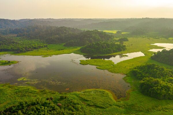 Cat Tien National Park honoured with four int’l ecotourism awards