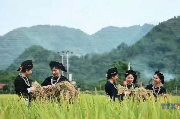 Tay people link cultural preservation with community-based tourism