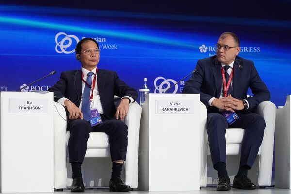 Energy – cornerstone of peace and development: Deputy PM