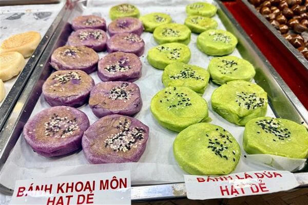 Southern folk cake festival 2025 – Flavours and colours of An Giang<br>