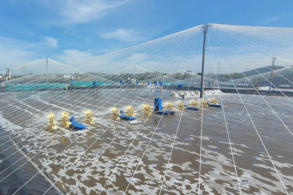 HCM City promotes technology for sustainable aquaculture development