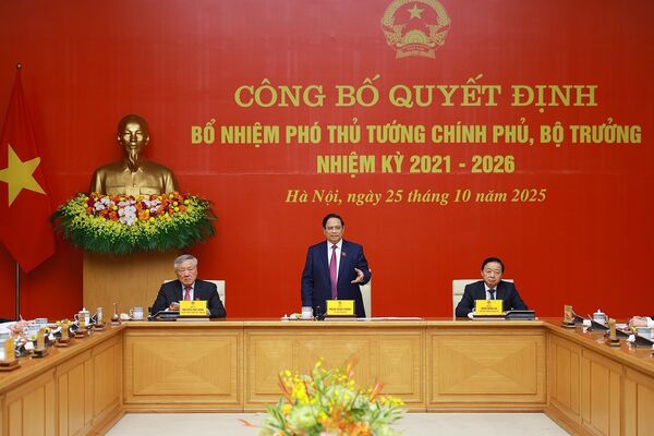 PM hands over appointment decisions to new Deputy PMs and ministers