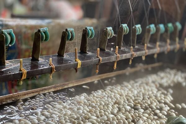 Preserving and developing the brand of Co Chat silk-reeling village