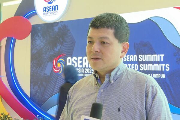 Vietnam plays crucial role in ASEAN, expert says